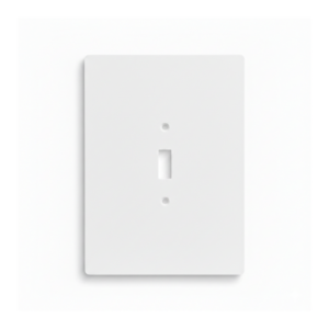 Jumbo Electric Wall Plate
