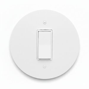 jumbo-electric-wall-plate-d6-gfci-decora