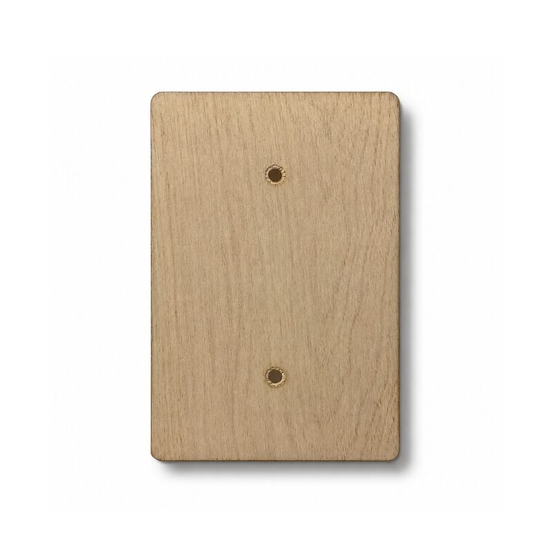 Blank Electric Wall Plate, Paintable, 4x6 inch 1 Paintable Wall Plate